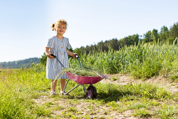 Carretilla Metalica de Jardin Juguete Rosa